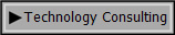 Technology Consulting